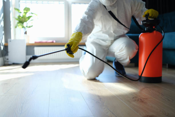 Best Pest Control Treatment  in Diand, MO