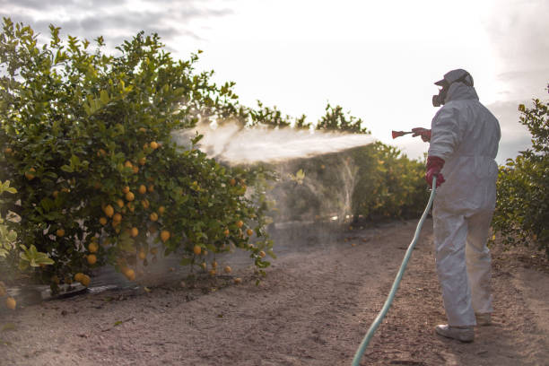 Best Wildlife Control Services  in Diand, MO