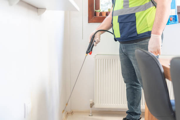 Best Ant Control Services  in Diand, MO