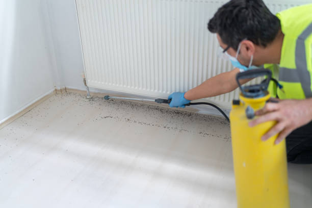 Best Emergency Pest Control  in Diand, MO